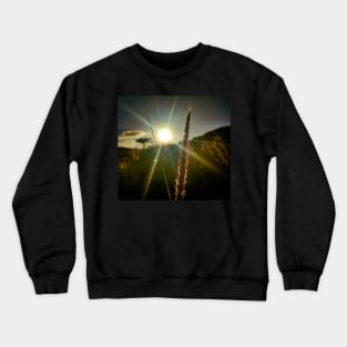 Spring Crewneck Sweatshirt